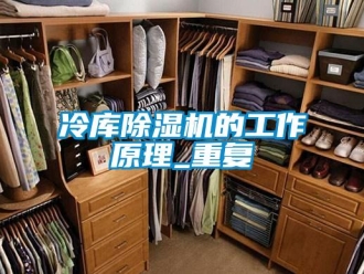 行业新闻冷库除湿机的工作原理_重复
