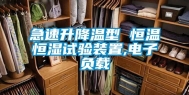 急速升降温型 恒温恒湿试验装置,电子负载