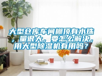企业新闻大型仓库车间棚顶有水珠，量很大，要怎么解决，用大型除湿机有用吗？