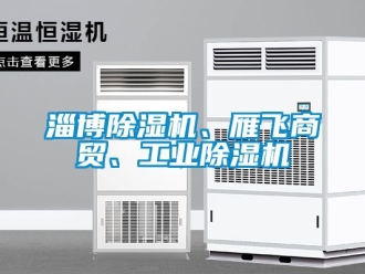 常见问题淄博除湿机、雁飞商贸、工业除湿机