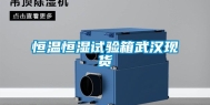 恒温恒湿试验箱武汉现货