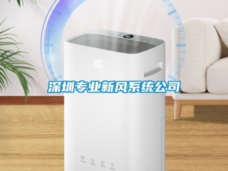 企业新闻深圳专业新风系统公司