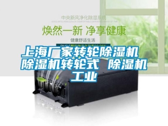 企业新闻上海厂家转轮除湿机 除湿机转轮式 除湿机工业