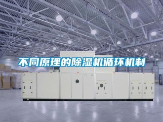 企业新闻不同原理的除湿机循环机制