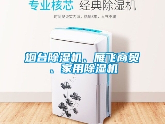 常见问题烟台除湿机、雁飞商贸、家用除湿机