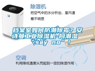 企业新闻档案室如何防潮除霉？安诗曼工业除湿机-向潮湿“say no”！