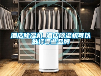 企业新闻酒店除湿机_酒店除湿机可以选择哪些品牌