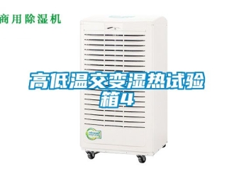 常见问题高低温交变湿热试验箱4