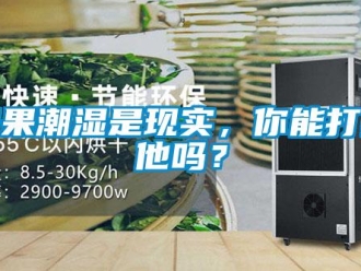 常见问题如果潮湿是现实，你能打败他吗？