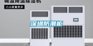 深圳防潮柜