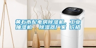 黄石市配电房除湿机，工业抽湿机  除湿器厂家 价格