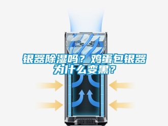 行业新闻银器除湿吗？鸡蛋包银器为什么变黑？