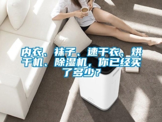 行业新闻内衣、袜子、速干衣、烘干机、除湿机，你已经买了多少？