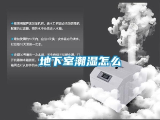 企业新闻地下室潮湿怎么