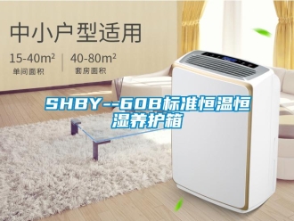 常见问题SHBY--60B标准恒温恒湿养护箱
