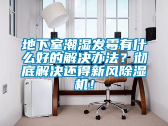 常见问题地下室潮湿发霉有什么好的解决办法？彻底解决还得新风除湿机！