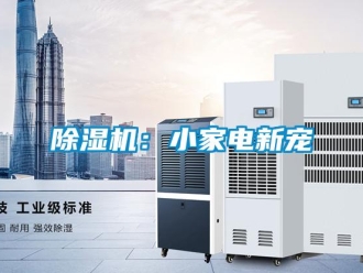 常见问题除湿机：小家电新宠