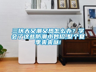 常见问题三伏天又潮又热怎么办？学会了这些防潮小妙招,整个夏季爽爽哒!