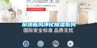吊顶新风净化除湿系列