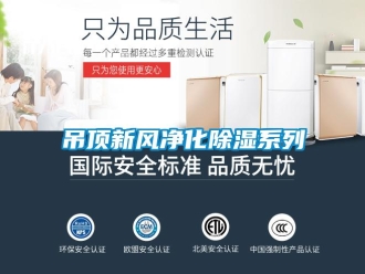 企业新闻吊顶新风净化除湿系列