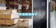 除湿机负离子