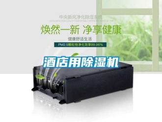 行业新闻酒店用除湿机