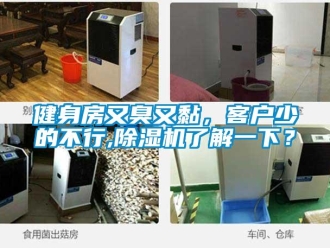 行业新闻健身房又臭又黏，客户少的不行,除湿机了解一下？