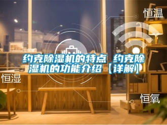 行业新闻约克除湿机的特点 约克除湿机的功能介绍【详解】