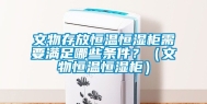 文物存放恒温恒湿柜需要满足哪些条件？（文物恒温恒湿柜）