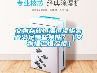 知识百科文物存放恒温恒湿柜需要满足哪些条件？（文物恒温恒湿柜）