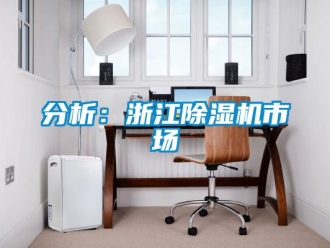 企业新闻分析：浙江除湿机市场