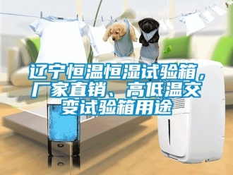 知识百科辽宁恒温恒湿试验箱，厂家直销、高低温交变试验箱用途