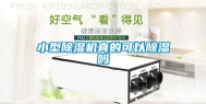 小型除湿机真的可以除湿吗