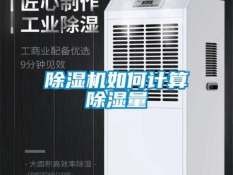 常见问题除湿机如何计算除湿量