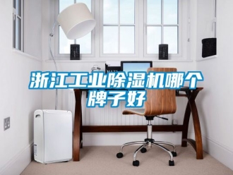 常见问题浙江工业除湿机哪个牌子好