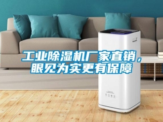 企业新闻工业除湿机厂家直销，眼见为实更有保障