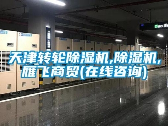 常见问题天津转轮除湿机,除湿机,雁飞商贸(在线咨询)
