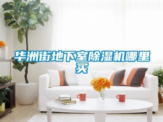 行业新闻华洲街地下室除湿机哪里买