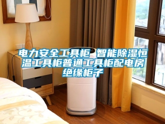 知识百科电力安全工具柜 智能除湿恒温工具柜普通工具柜配电房绝缘柜子