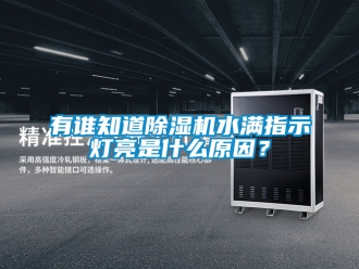 行业新闻有谁知道除湿机水满指示灯亮是什么原因？