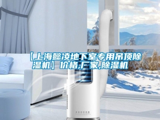 企业新闻【上海懿凌地下室专用吊顶除湿机】价格,厂家,除湿机