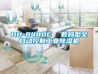 常见问题DH-8480C  数码型全自动控制工业除湿机