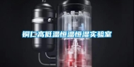 铜仁高低温恒温恒湿实验室