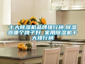 企业新闻十大除湿机品牌排行榜,除湿器哪个牌子好 家用除湿机十大排行榜