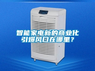 知识百科智能家电新的商业化引爆风口在哪里？