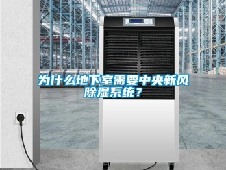 行业新闻为什么地下室需要中央新风除湿系统？