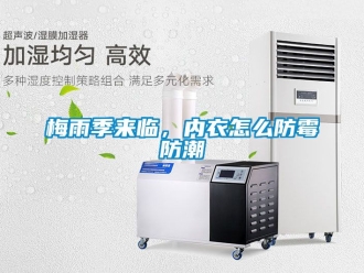 常见问题梅雨季来临，内衣怎么防霉防潮