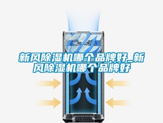 常见问题新风除湿机哪个品牌好_新风除湿机哪个品牌好