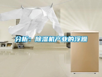企业新闻分析：除湿机产业的浮躁