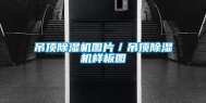吊顶除湿机图片／吊顶除湿机样板图